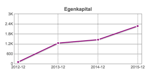 MarketingPlatform egenkapital 2015