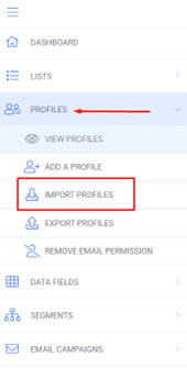 A screenshot from the interface of MarketingPlatform, picturing the instructions for importing profiles.