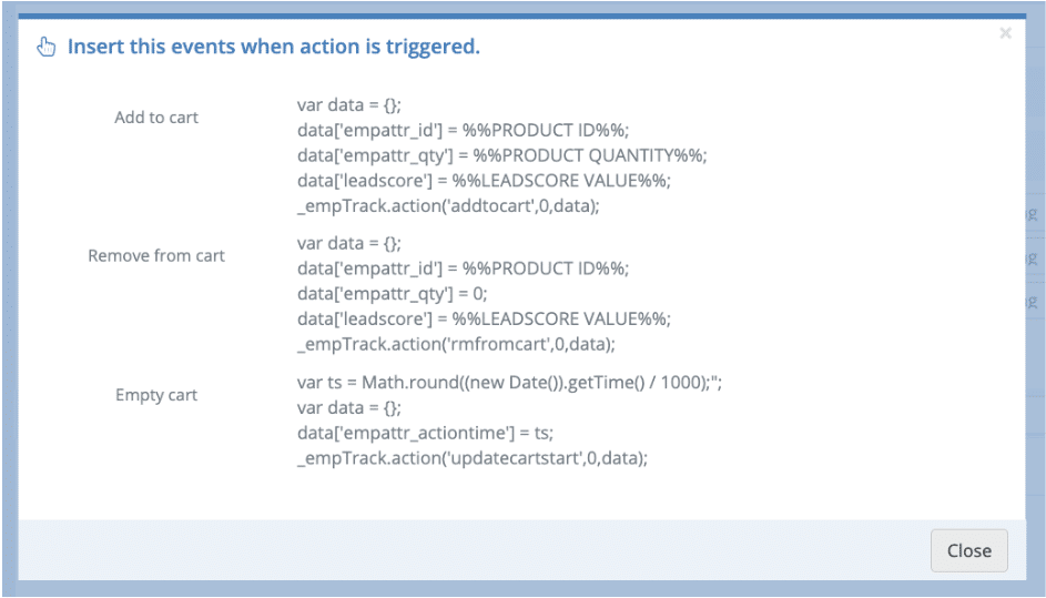 A screenshot from the interface of Google Tag Manager, picturing the instructions to Set Up a Standard System with Custom Plugins.